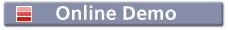 Online Demo launch button